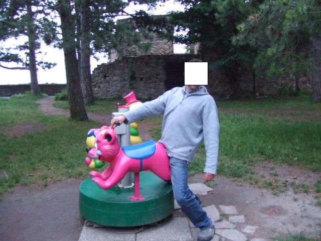 Bild