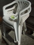DSCF0074.JPG