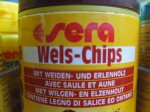 DSCF0148.JPG
