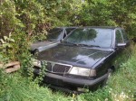 DSCF0725.JPG