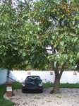 DSCF0944.JPG