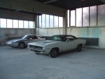 DSCF1153.JPG