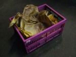 DSCF2554.JPG