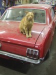 DSCF2757.JPG