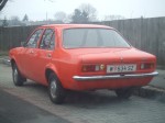 DSCF2981.JPG