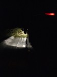 DSCF3449.JPG