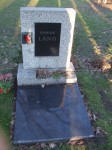 DSCF3581.JPG