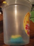 DSCF3633.JPG