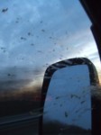 DSCF3918.JPG