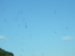 DSCF4544.JPG