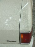 DSCF4823.JPG