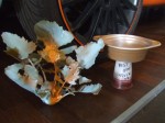 DSCF5391.JPG