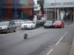 DSCF5468.JPG