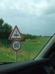 DSCF5860.JPG
