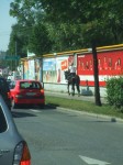 DSCF6104.JPG