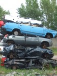 DSCF6247.JPG