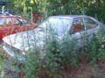 DSCF6681.JPG