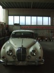 DSCF6797.JPG