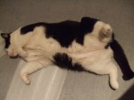 DSCF7038~0.JPG