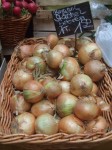 DSCF7138.JPG