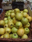 DSCF7139.JPG