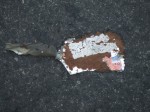 DSCF7968.JPG