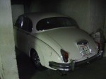 DSCF8133.JPG
