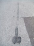 DSCF8543.JPG