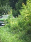DSCF8870.JPG