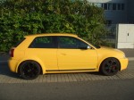 DSCF9356.JPG