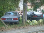 DSCF9405.JPG
