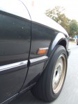 DSCF9533.JPG