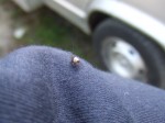 DSCF9727.JPG