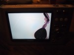 IMG_0011.JPG