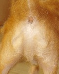 Dateiname : angusassjesus.gif
Dateigröße : 164KB
Abmessungen : 316x389
hinzugefügt am : 16.November 2006 angusassjesus.gif