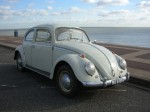 mark_beetle612.jpg