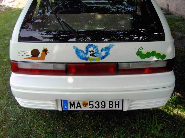 Bild