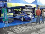 Fin045.JPG