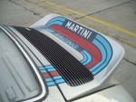 2007_0329Panoniaring0021.JPG