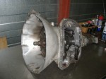 Eingeweide03.JPG