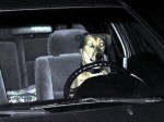 drivingdog.jpg