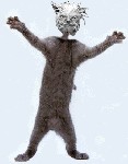 7851.gif