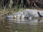 DSC05509.JPG