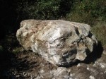 DSC05919.jpg