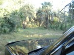 DSC06272.JPG