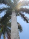 DSC07577.JPG