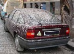 In_Polen_gesehen.jpg