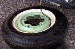 wheel.gif