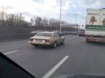 6233075.jpg