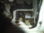 IMG00057-20100117-1723.jpg